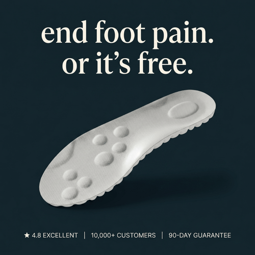 Softr Steps™